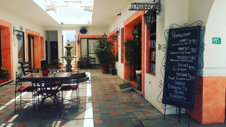 16647 cafe cabo 768x432