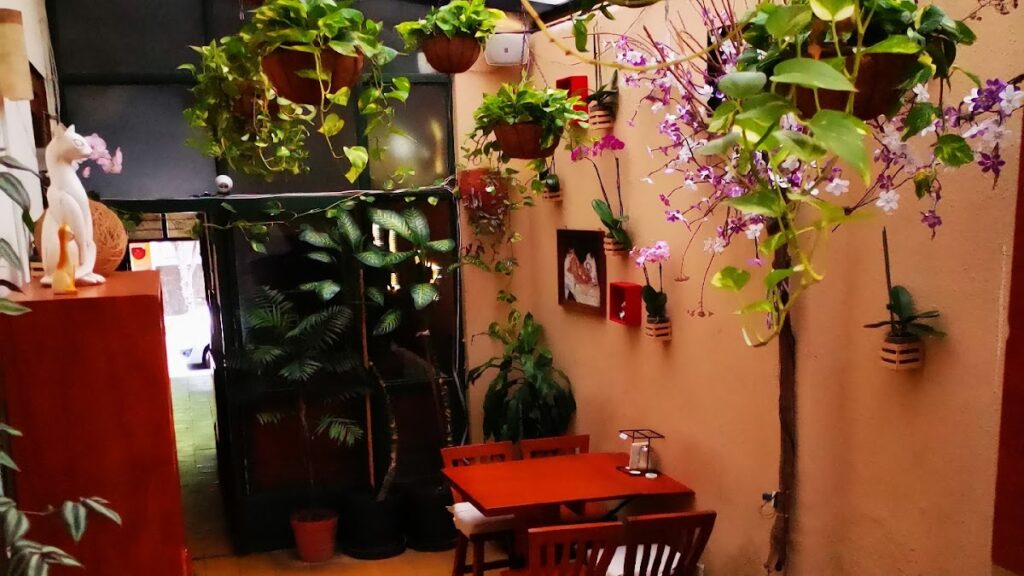 16779 restaurant cafe el gato cafe 1024x576