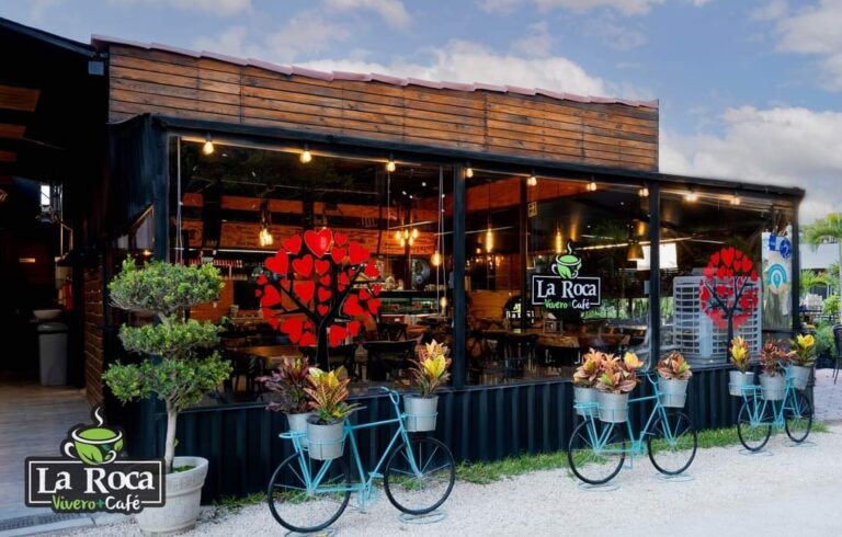 16810 la roca vivero cafe 768x490