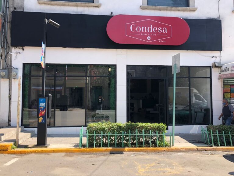 16816 cafeteria condesa barra de cafe 768x576