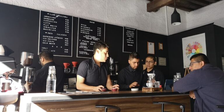 16855 cafe cultura 768x384