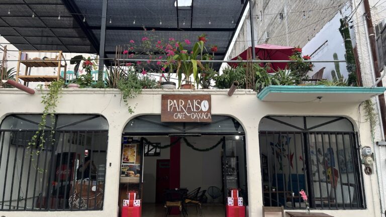 16891 cafe paraiso 768x432