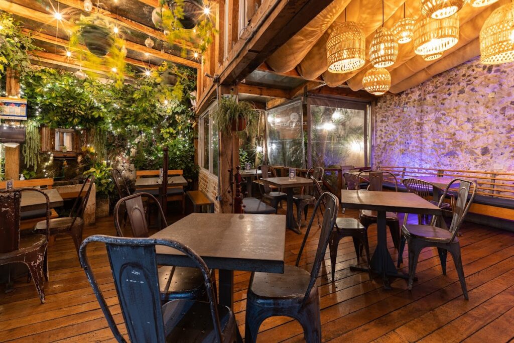 16955 flor catorce centro 1024x683