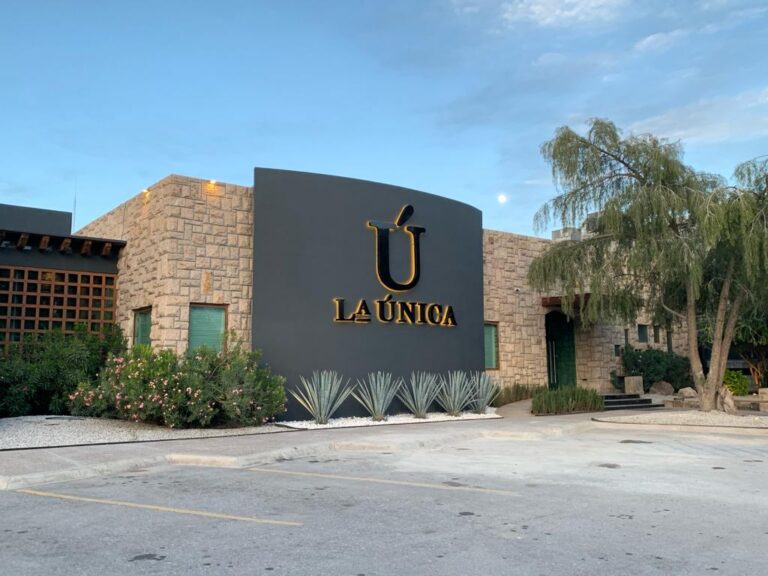 17734 la unica torreon 768x576