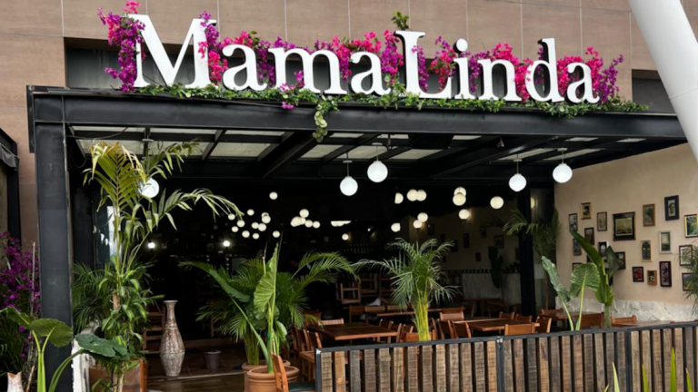 17778 mamalinda salamanca 768x432