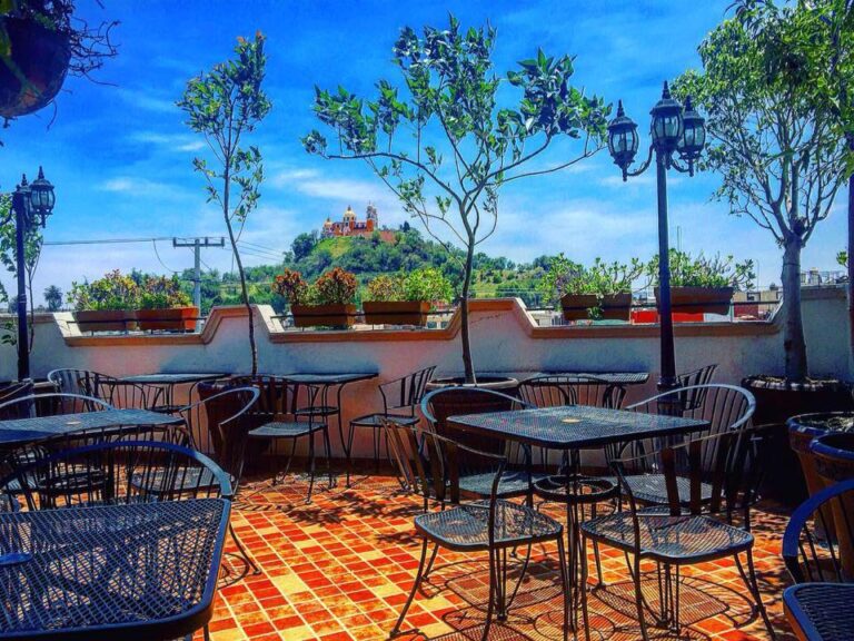 17912 cus cus cus 768x576