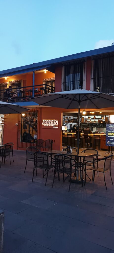 18004 aborigen 461x1024