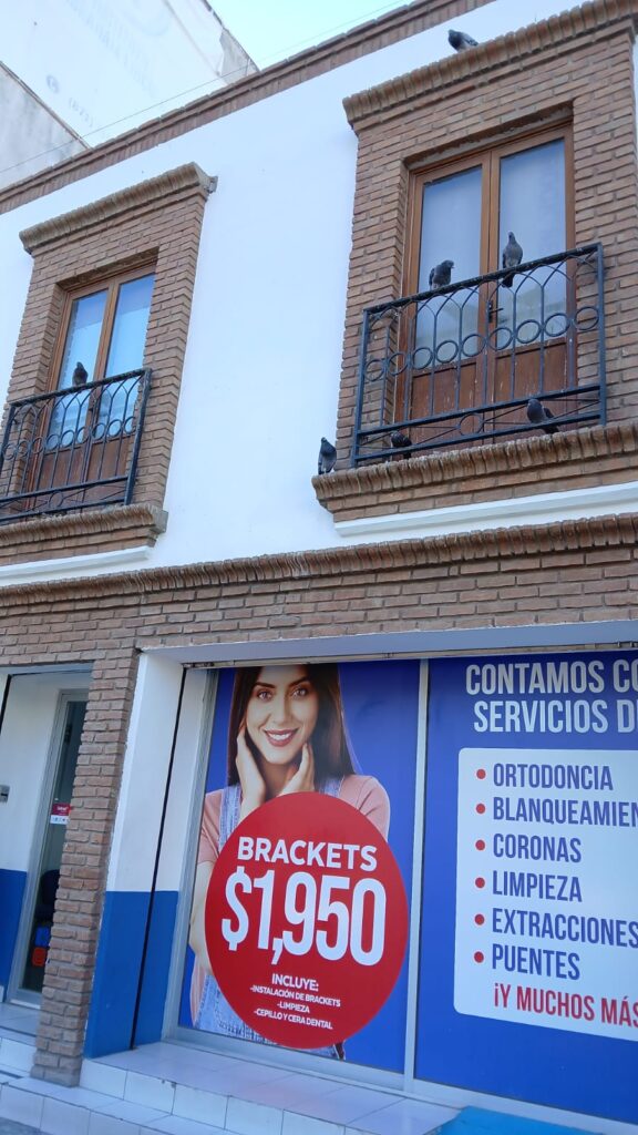 19431 los dentistas centro gomez 576x1024