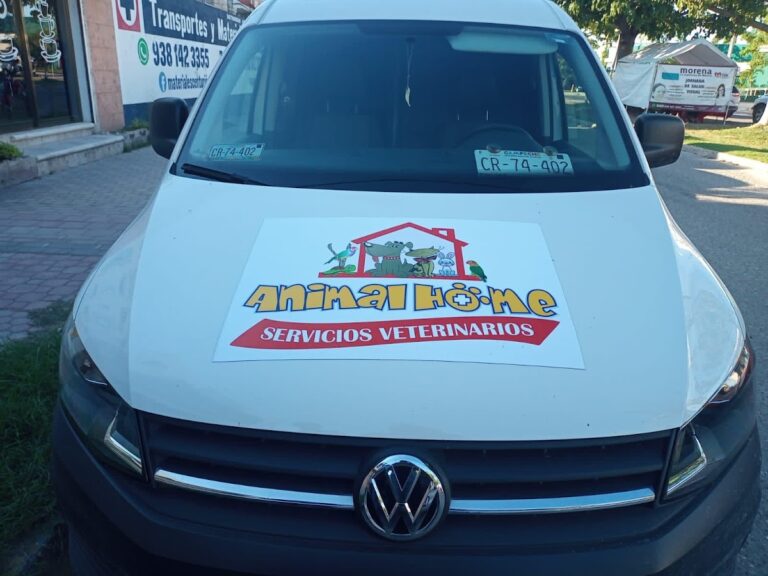 19806 animal home servicios veterinarios 768x576