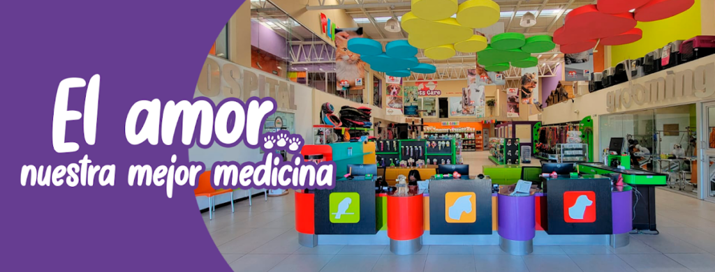 19836 pets care veterinario 24 horas en saltillo traumatologo veterinario en saltillo 1024x390