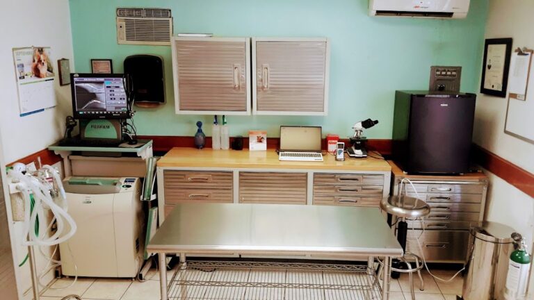 19840 petsmed veterinaria 768x432