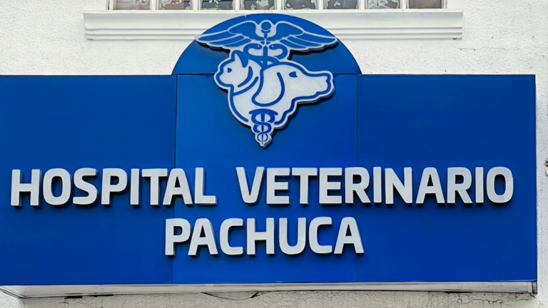 19900 hospital veterinario pachuca 768x432