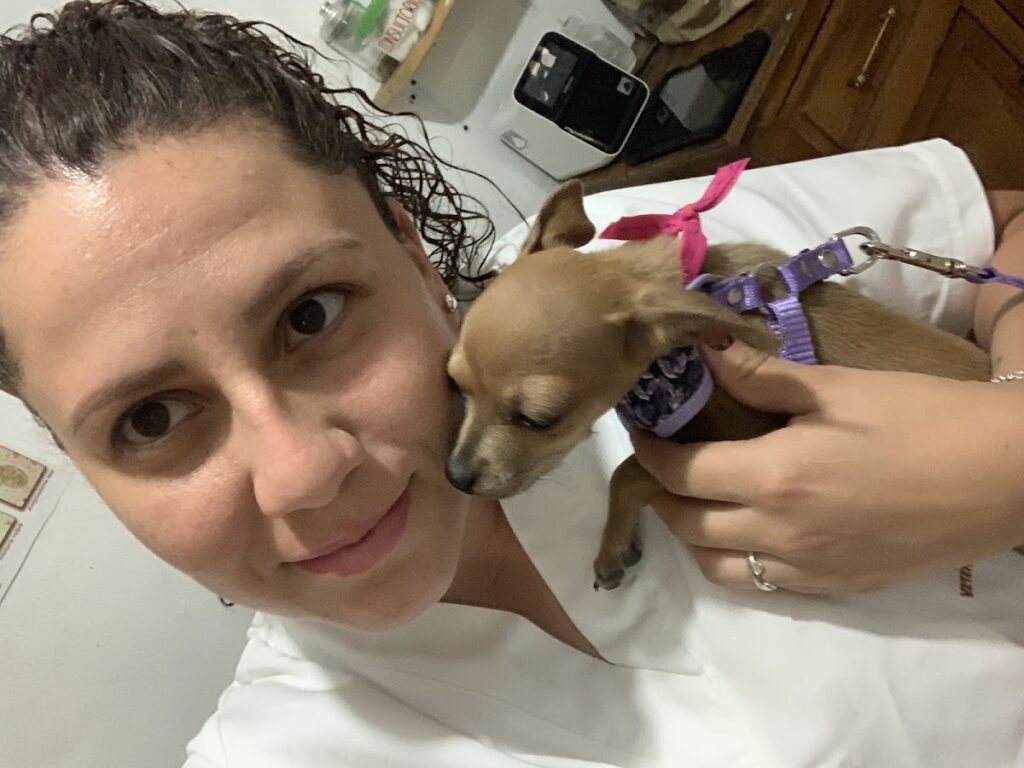 19910 veterinaria ecopet 1024x768