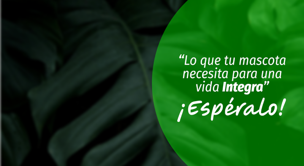 19935 grupo veterinario vetcare 1024x559