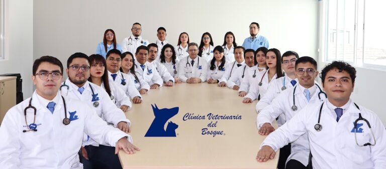 19945 clinica veterinaria del bosque emergencias 24hrs7 dias solo perros y gatos 768x337