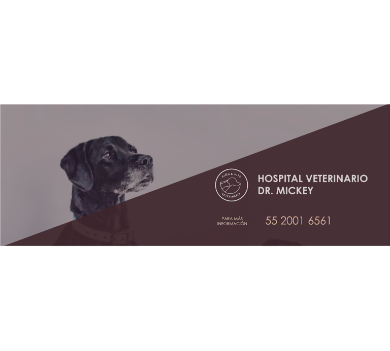 19962 hospital veterinario base delfin ii 768x692