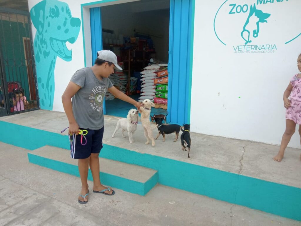 20006 veterinaria zoo mania 1024x768