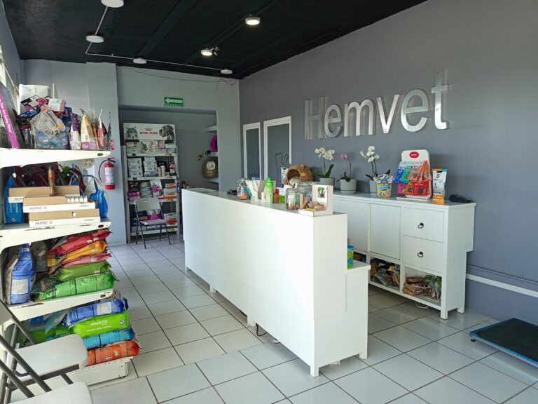 20027 hemvet hospital veterinario 768x576