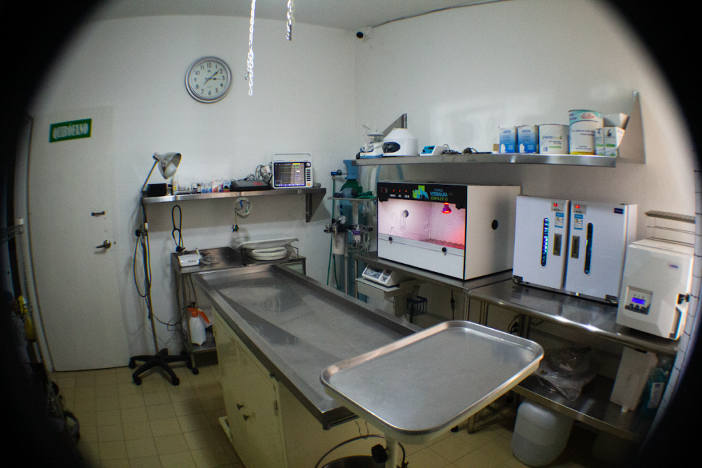 20036 clinica veterinaria arboledas 1024x683