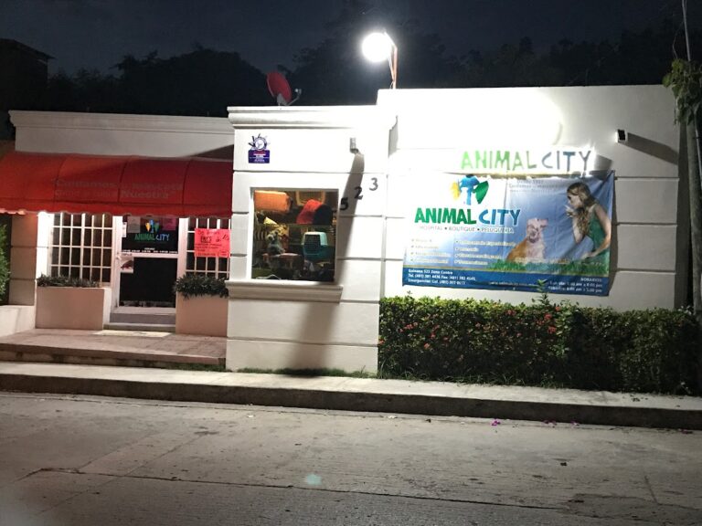 20043 animal city 768x576