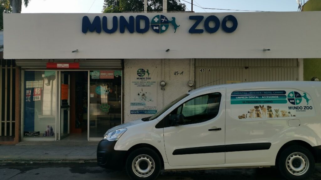 20047 veterinaria mundo zoo 1024x576