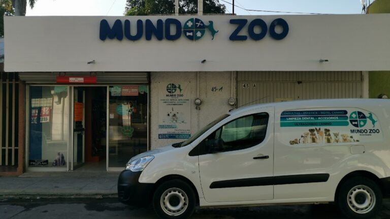 20047 veterinaria mundo zoo 768x432