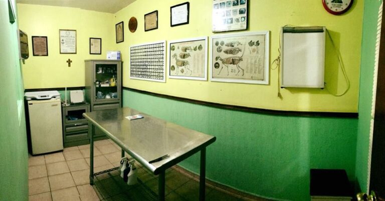 20070 lucecas veterinaria 768x401