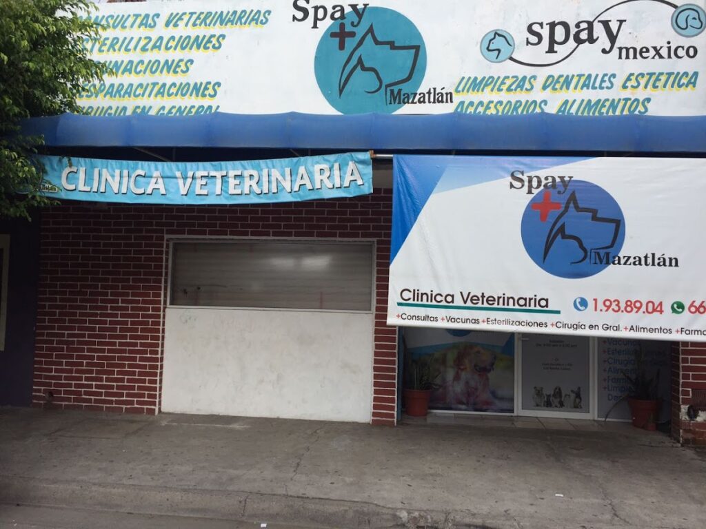 20074 clinica veterinaria spay mazatlan 1024x768
