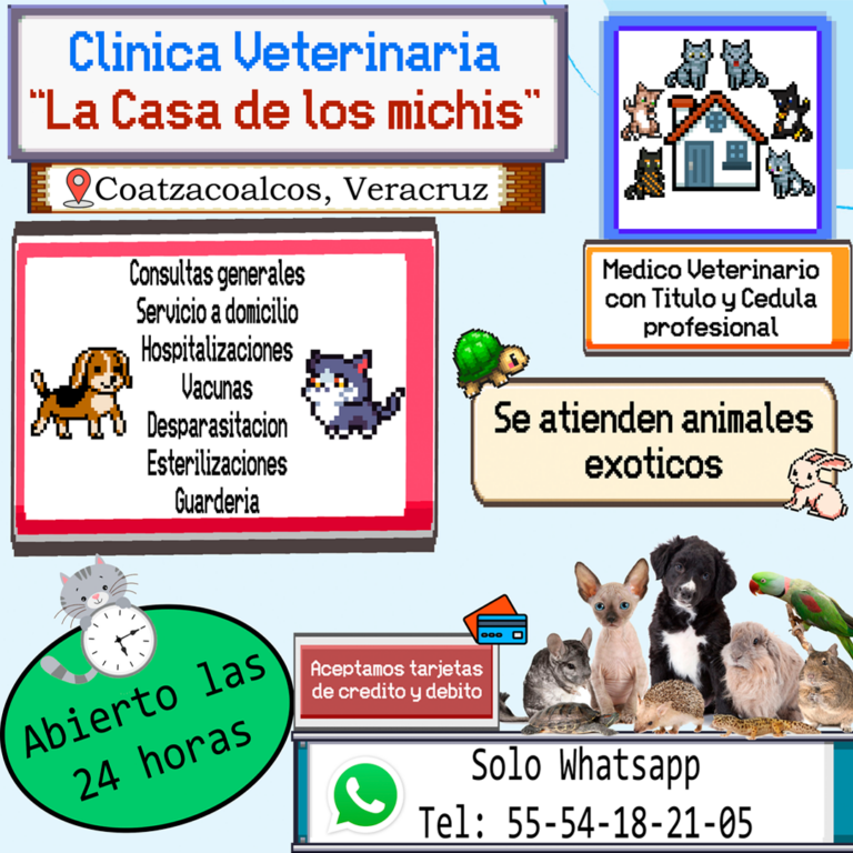 20107 clinica veterinaria 24 horas la casa de los michis 768x768