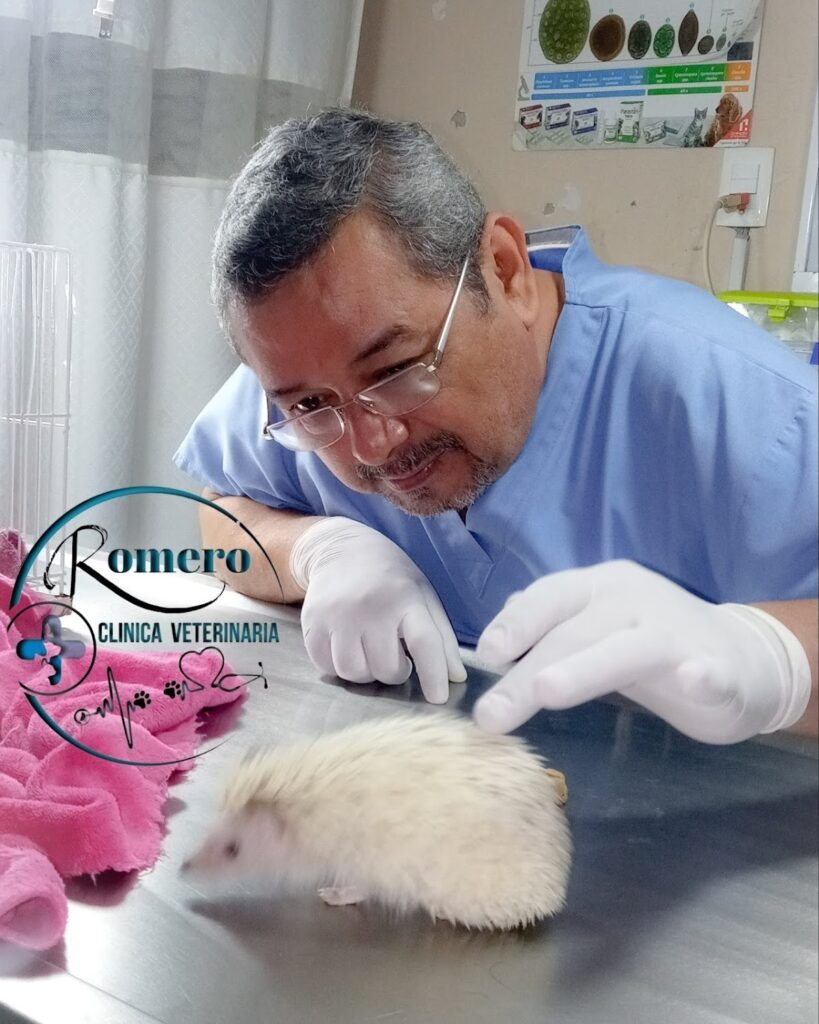 20128 clinica veterinaria romero 819x1024