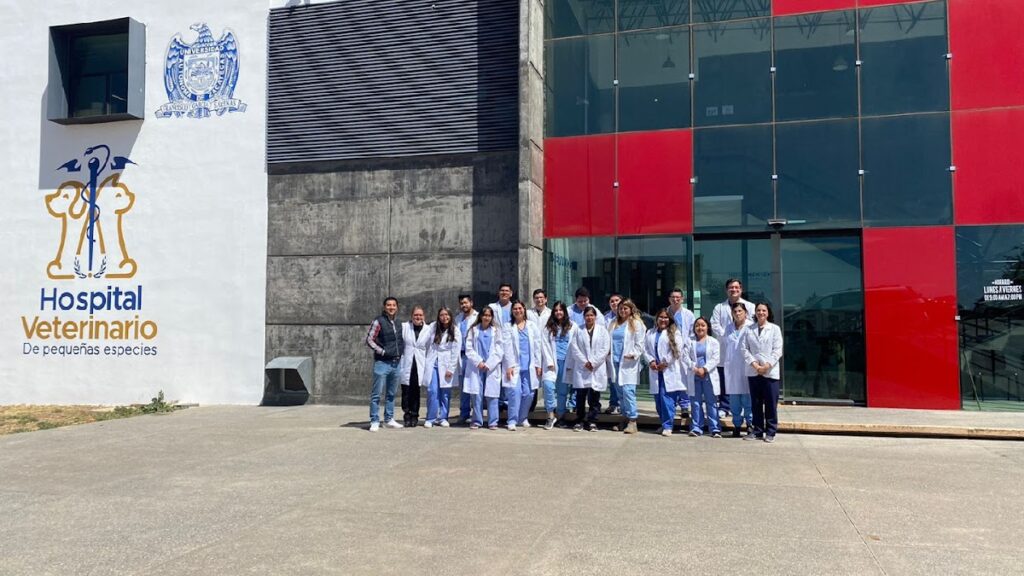 20135 hospital veterinario de pequenas especies 1024x576