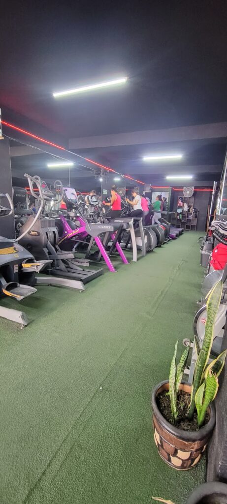 20417 level gym 461x1024