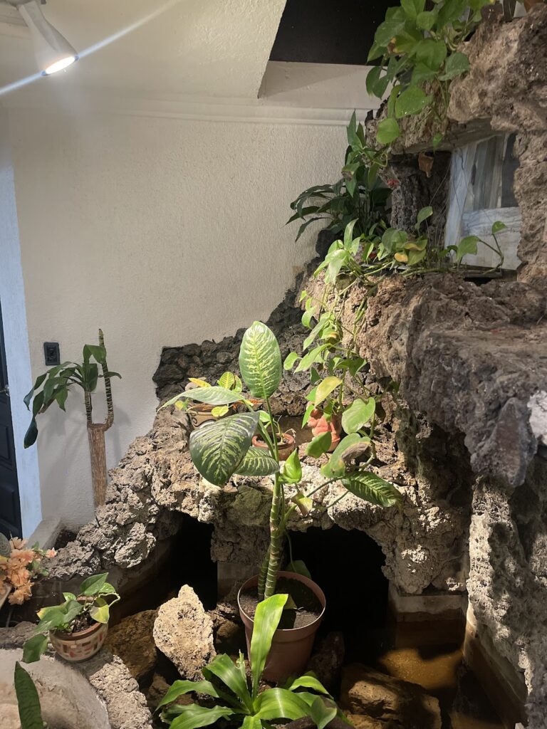 20715 inda spa 8211 spa tlalnepantla 768x1024