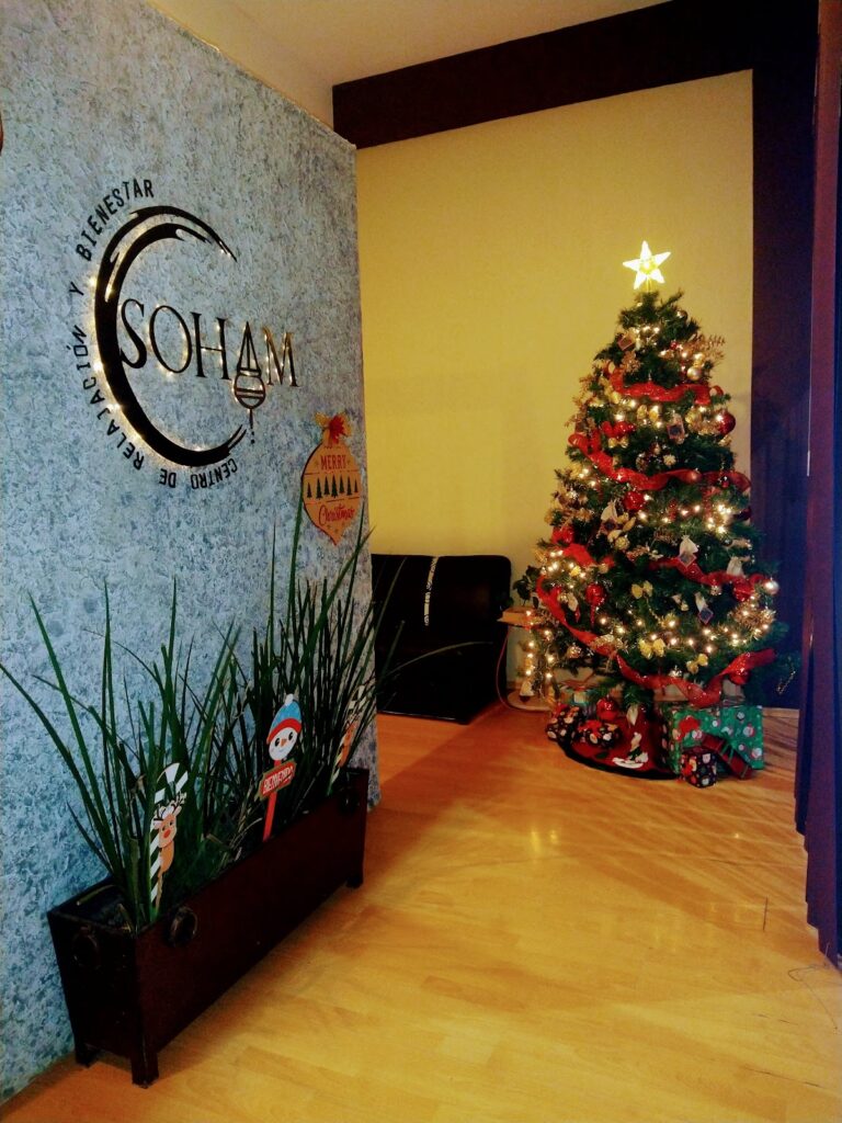 20782 soham spa 768x1024