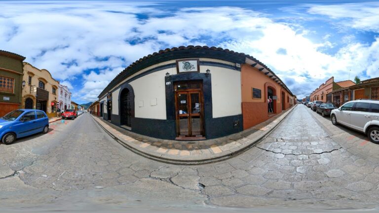 21309 barberia del gato 768x432