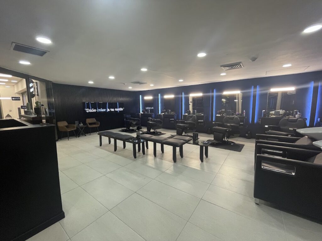 21621 barber blue suc. hidalgo 1024x768