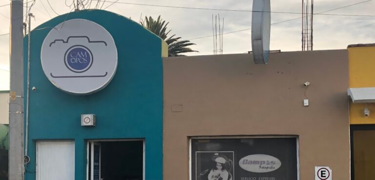 22166 fotografia campos 768x369