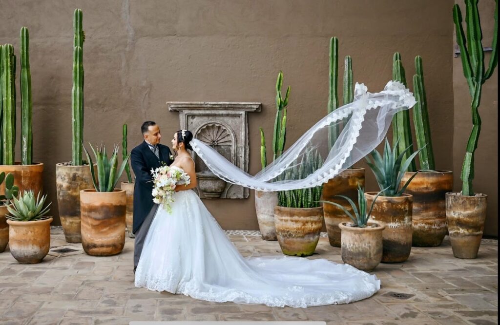 22256 vive la foto 1024x667