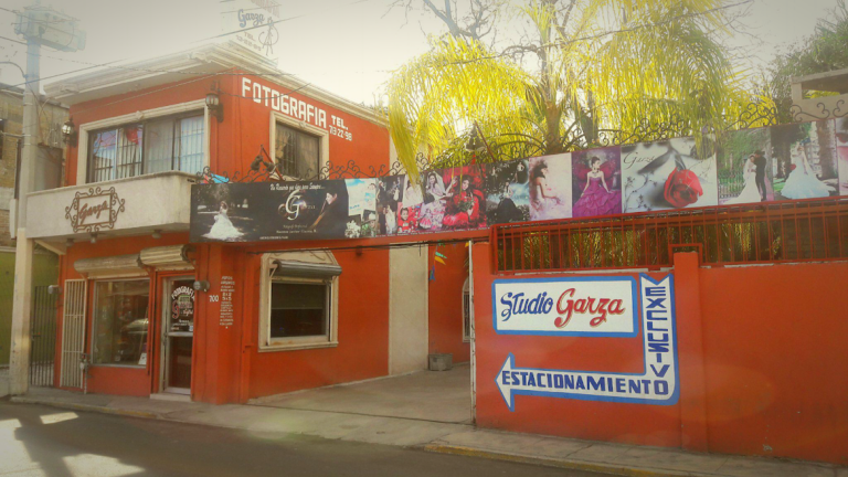 22437 fotografia garza 768x432