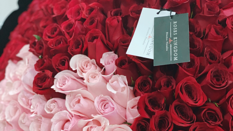 22890 roses kingdom 768x433