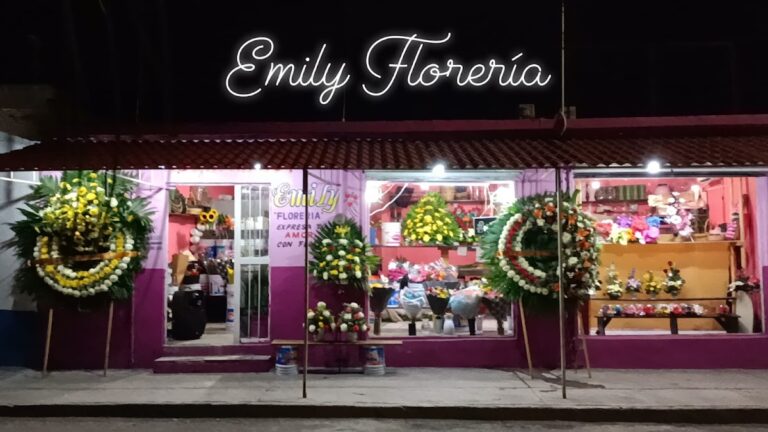 22943 emily floreria 768x432