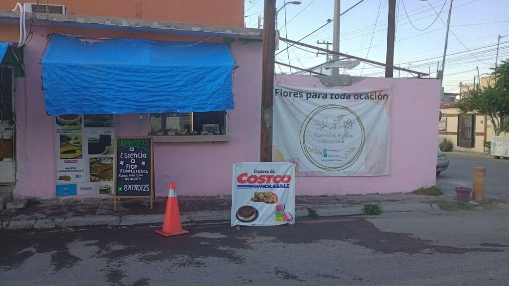 22973 escencia a flor 1024x576