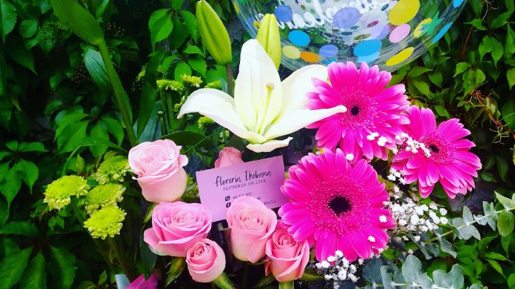 22994 floreria celaya gto.ikebana floreria 100 en linea no contamos con servicio de puertas abiertas al publico 1024x576