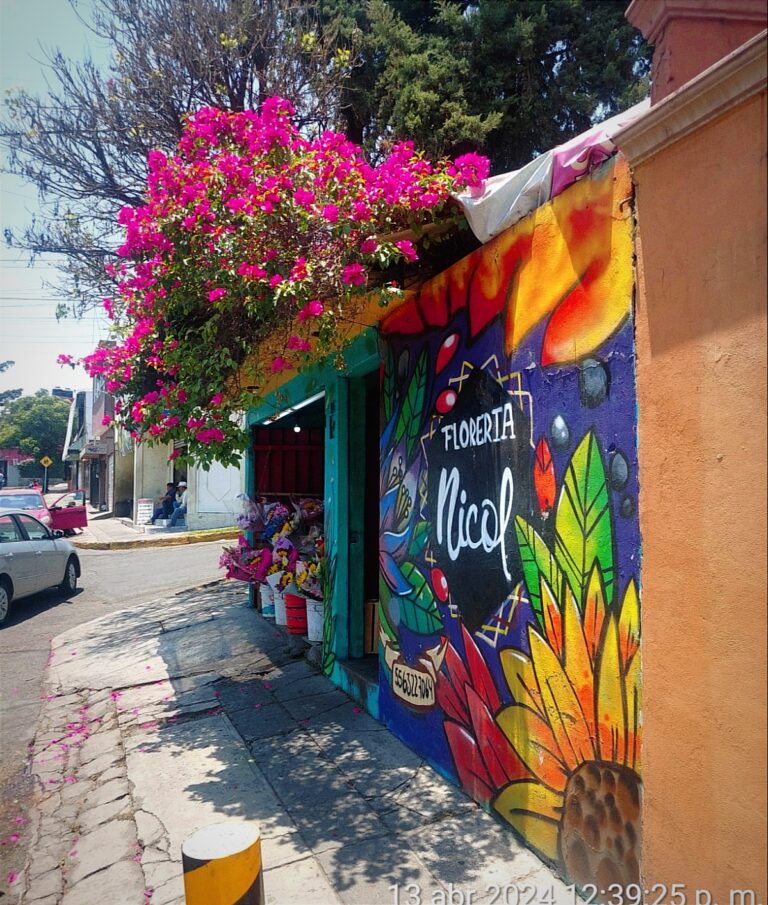 23053 floreria nicol 768x905