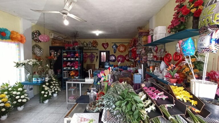 23134 floreria el 8220modelo8221 768x433