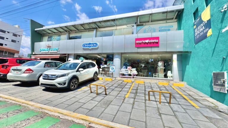 23162 floreria maria violeta 768x432