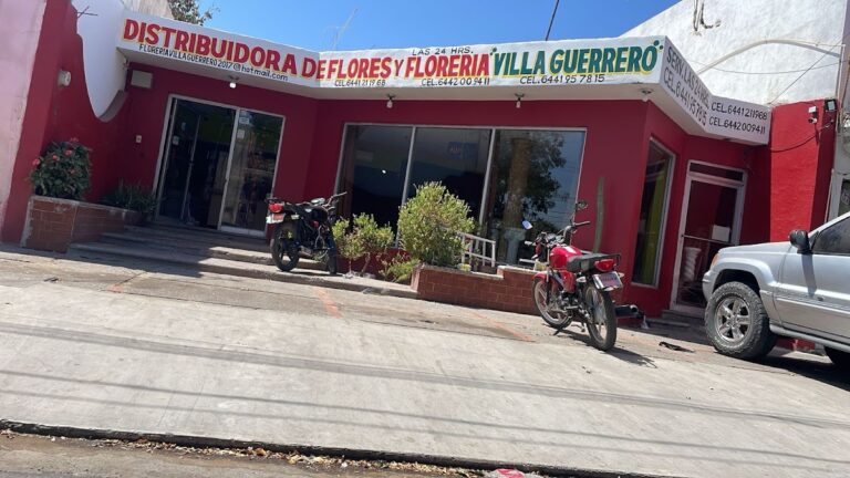 23190 distribuidora de flores y floreria villa guerrero 768x432