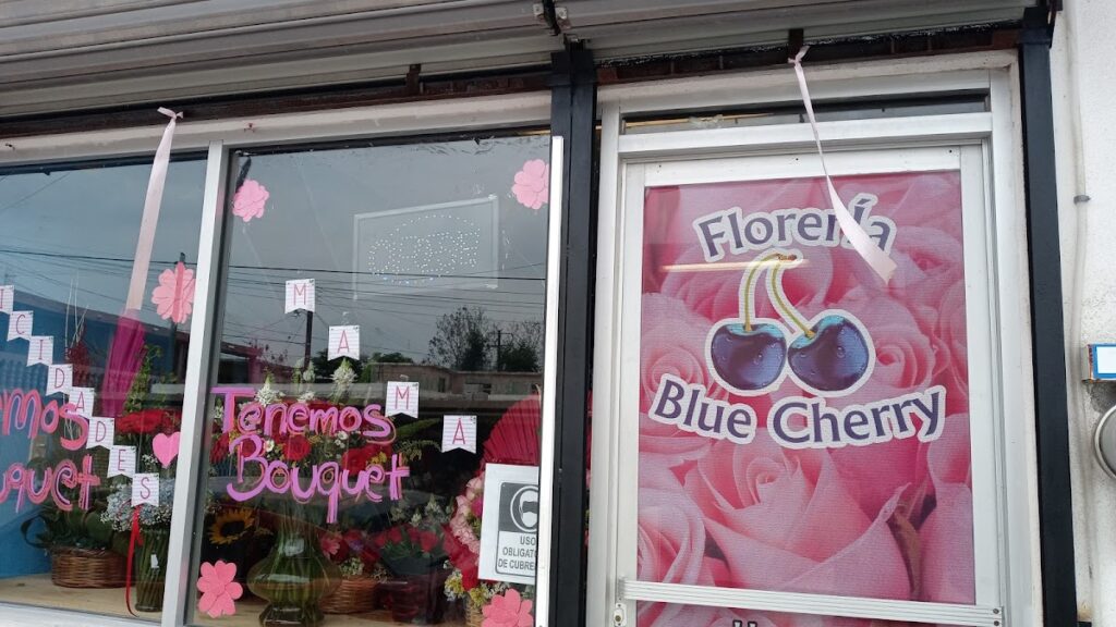 23217 floreria blue cherry 1024x576