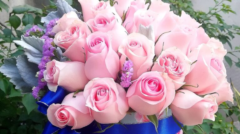 23253 floreria riviera veracruz 768x431