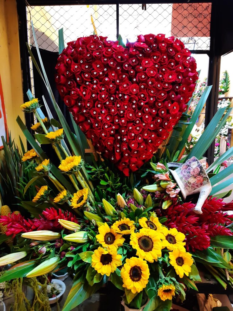 23255 floreria bella orizaba 768x1024